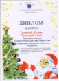 /album/tulina-anya/luchshaya-igr-dlya-ng-elki-2013-002-jpg/